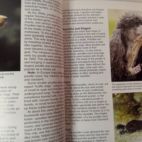 Poodles (Barron's Complete Pet Owner's Manuals) by Joe Stahlkuppe - Picture 6 of 10